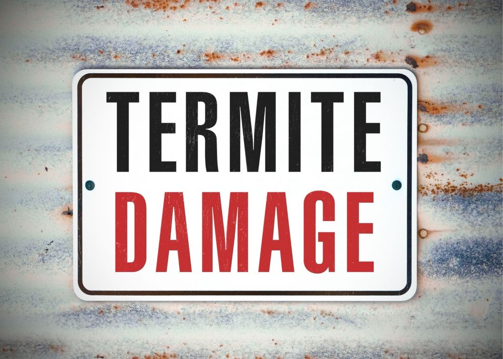 Home | Termite Pest Control Chapel Hill
